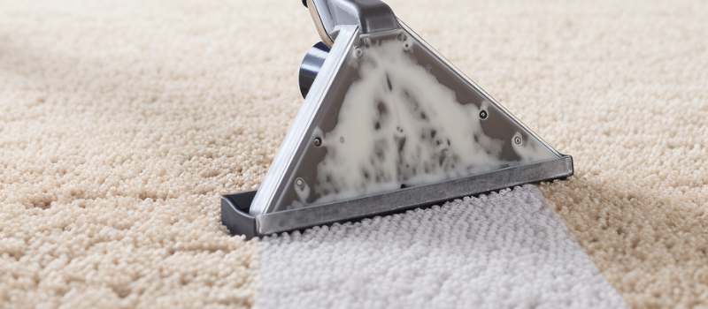 Expert Steam Carpet Cleaners